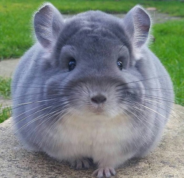 149220254712356110.jpg