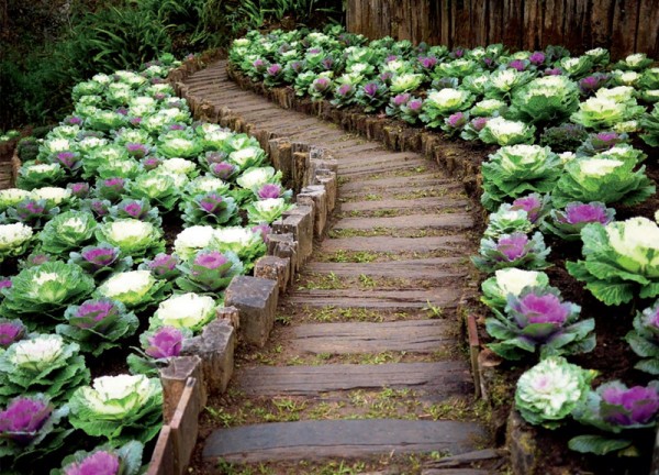 image (8).jpg