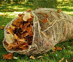 Leafmould_sack.jpg