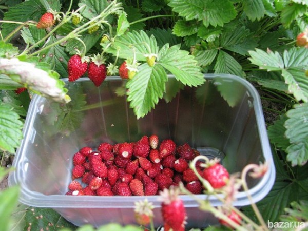 image (10).jpg
