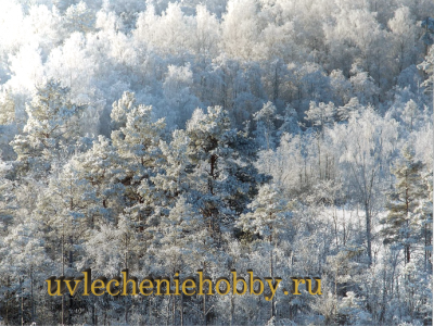 uvlecheniehobby.com.природа2.png