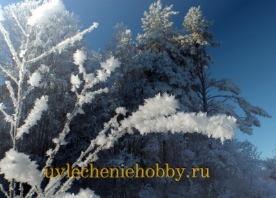 uvlecheniehobby.com.природа5.png