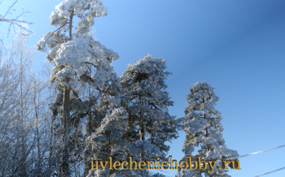 uvlecheniehobby.com.природа7.png