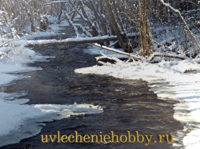 uvlecheniehobby.com.природа8.jpg