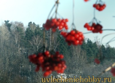 uvlecheniehobby.com.природа23.jpg