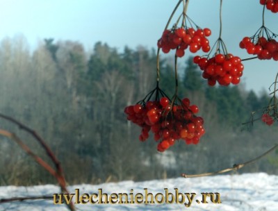 uvlecheniehobby.com.природа24.jpg