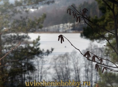 uvlecheniehobby.com.природа26.jpg