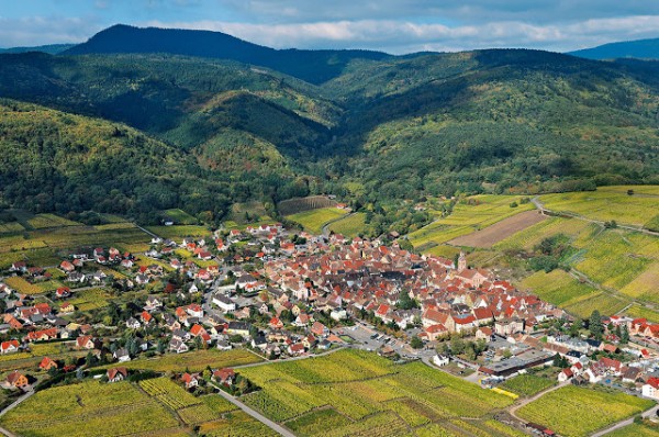 det_hs_village_12_riquewihr_panorama_bertrand_rieger.jpg