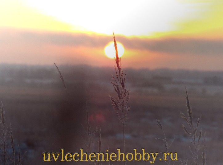 uvlecheniehobby.com.природа21.jpg