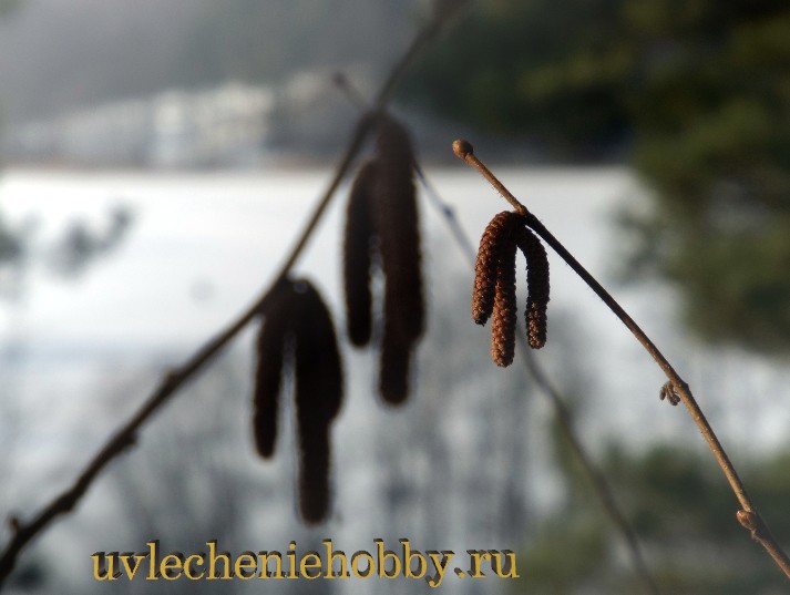 uvlecheniehobby.com.природа27.jpg