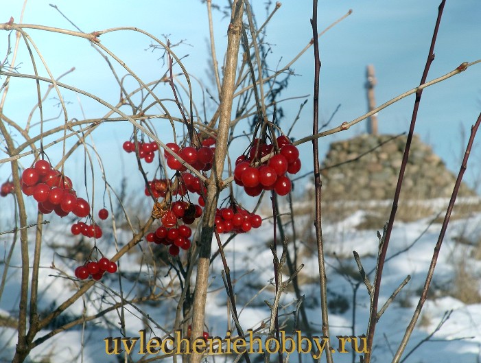 uvlecheniehobby.com.природа29.jpg