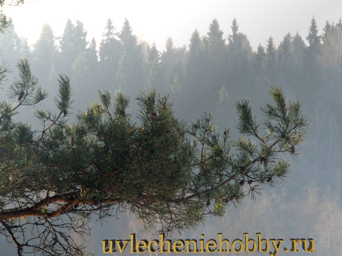 uvlecheniehobby.com.природа22.jpg