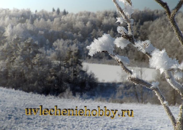uvlecheniehobby.com.природа1.JPG