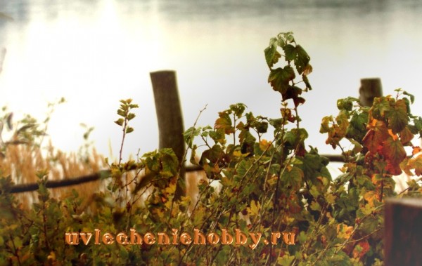 uvlecheniehobby.com-плитень..jpg