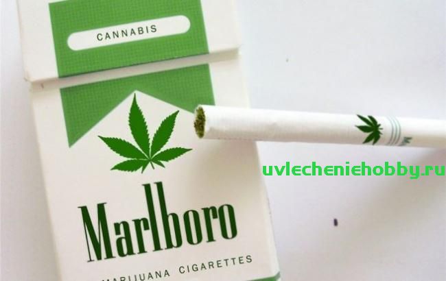 мальборо.jpg