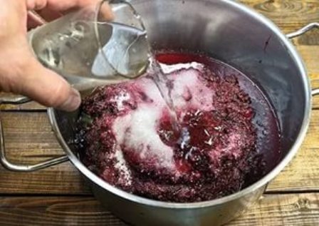 мезга.jpg