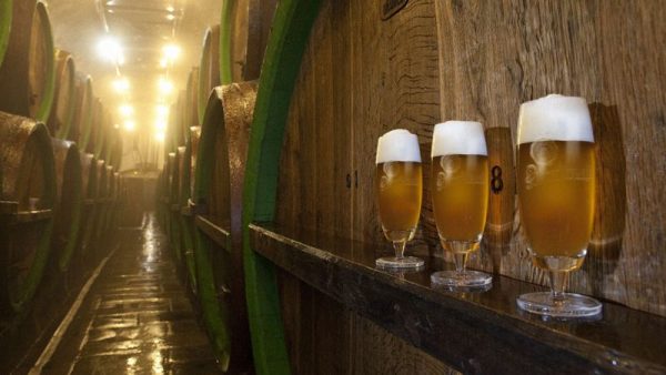 c-pilsen-pilsner.jpg